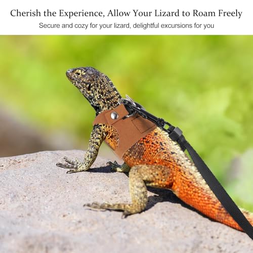 Image of 3 Pack Bearded Dragon Harness and Leash Set, Adjustable Lizard Leash Soft Small Animal Traction Rope, Vest Accessories for Squirrel Rat, Gecko, Bearded Dragon Harness