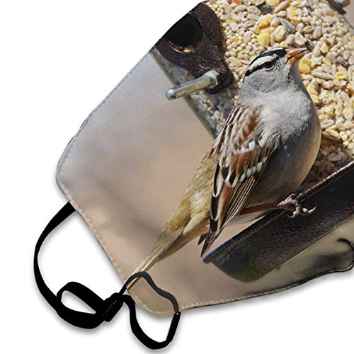 Fashion Face Cover Adjustable Elastic Band Hypoallergenic Face and Nose Cover for Pollen Smog Climbing (White-Crowned Sparrow, Zonotrichia) - Thumbnail 2