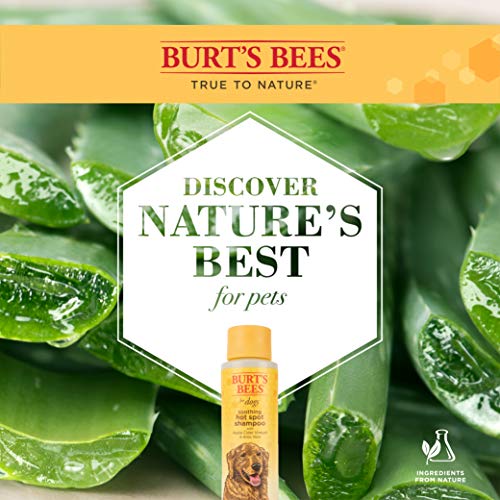 Burt's Bees for Dogs Natural Hot Spot Shampoo with Apple Cider Vinegar & Aloe Vera | Soothing & Relieving Hot Spot… - Image 6