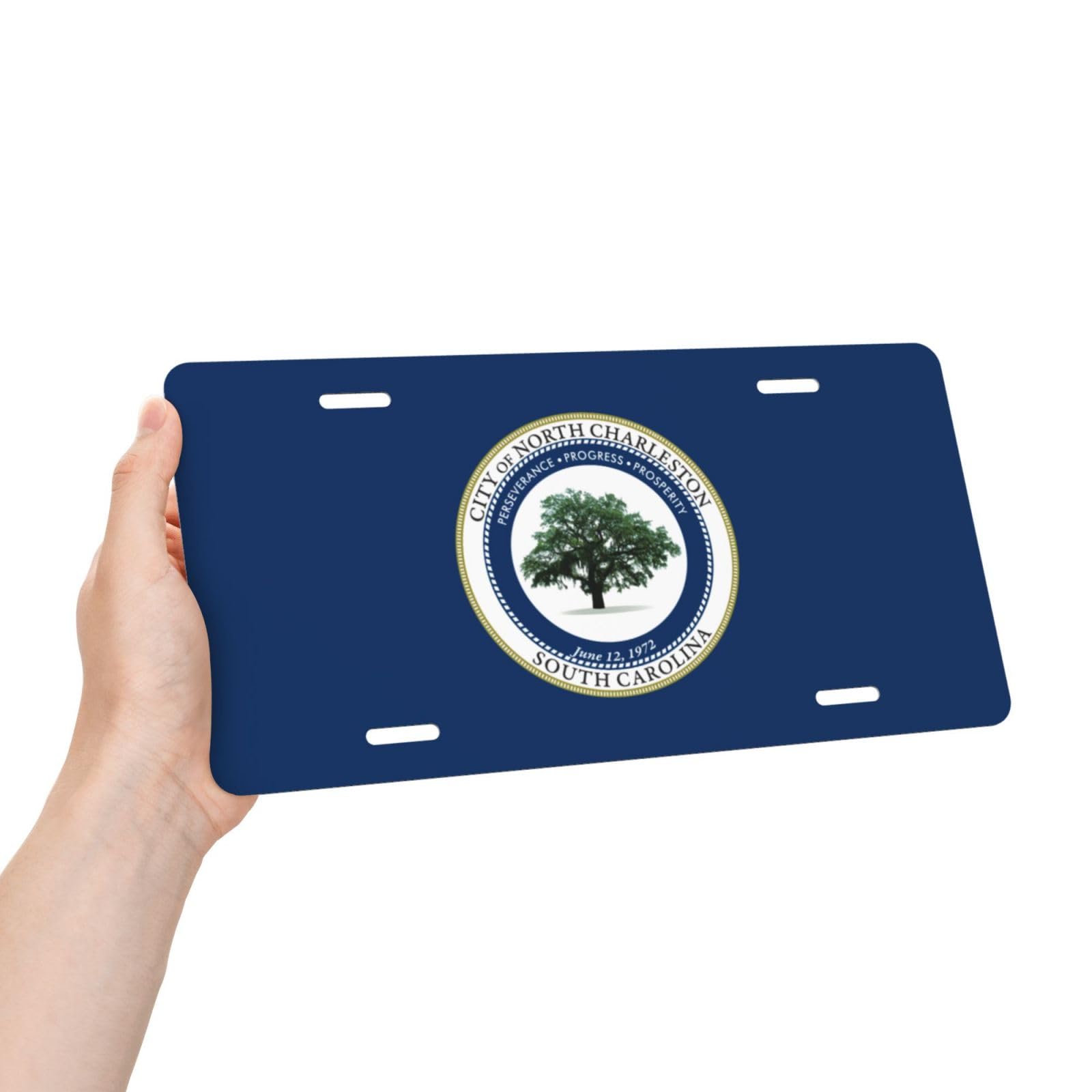 Charleston Metal Novelty License Plate Tag – Aluminum, Front Mount – NLP 6301