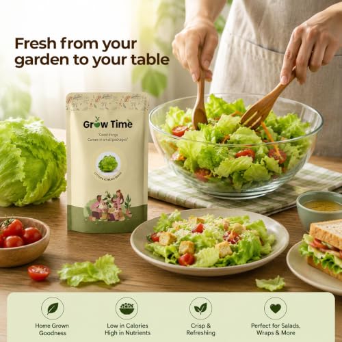 Image of Lettuce Iceberg Vegetable Seeds, Vegetable Seeds for Home Gardening, Vegetable Planting Seeds for Kitchen, Lettuce Iceberg Seeds (Green, Pack of 2g)