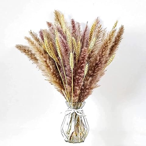 Winwell Trockenblumen Pampasgras Groß Pflanzen Deko KüNstlich Getrocknet Blumen Weizen Set Mix 45cm Klein Trockenblumenstrauß Boho Style Tischdkeo Wohnzimmer Badezimmer Cover