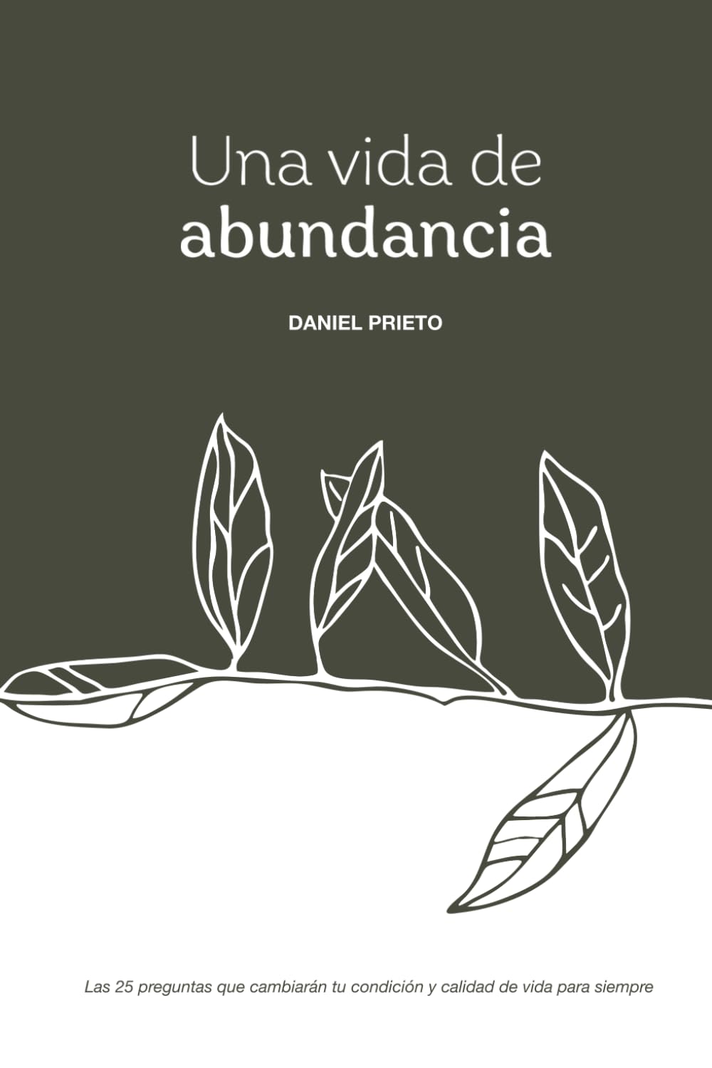 Una vida de abundancia: Las 25 preguntas que cambiaran tu condición y calidad de vida para siempre