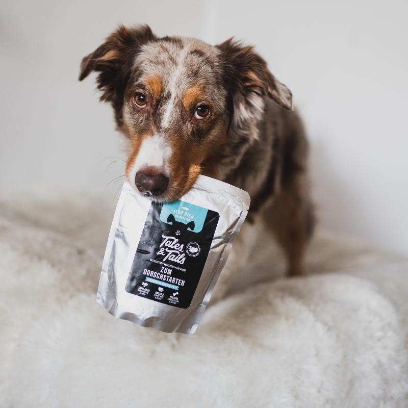 Tales & Tails® - Nassfutter für Hunde aus 100% isländischem Dorsch | Getreidefreies Hundefutter, Natürlich, Nährstoffreich, Zuckerfrei | Hundenassfutter „Dorschstarten“| 30x 300g
