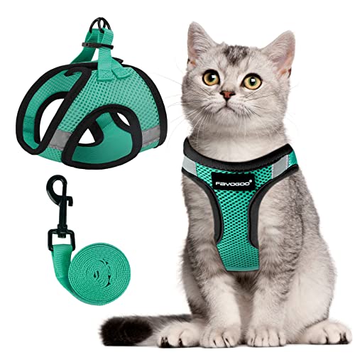 Image of FAYOGOO Cat Harness & Leash Set, Escape Proof, XXL(Chest 19-21''), Green | Step-in mesh vest, velcro + buckle + D-ring; reflective strips; includes matching leash; 5 sizes