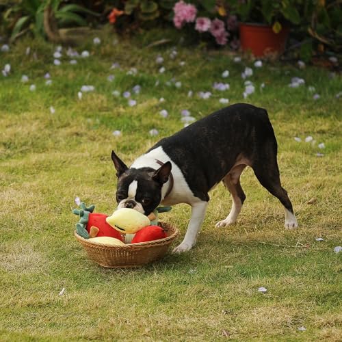 CHEWFFON Quietschende Plüschhundespielzeuge, Hundegeschenke zum Geburtstag für kleine und mittlere Hunde zur Langeweilebekämpfung, 3-stückiges Obst-Hundespielzeug-Satz – Erdbeere, Zitrone, Birne