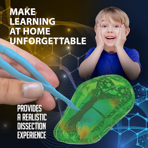 Image of Discover it Butterfly, Science Lab Kit, STEM Toys for Kids, Ages 5+ | Butterfly Life Cycle: Open a synthetic chrysalis to discover butterfly stages while learning about metamorphosis and STEM