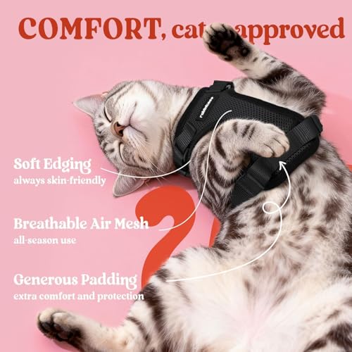 Image of rabbitgoo Cat Harness and Leash Set, Escape Proof Vest, Black