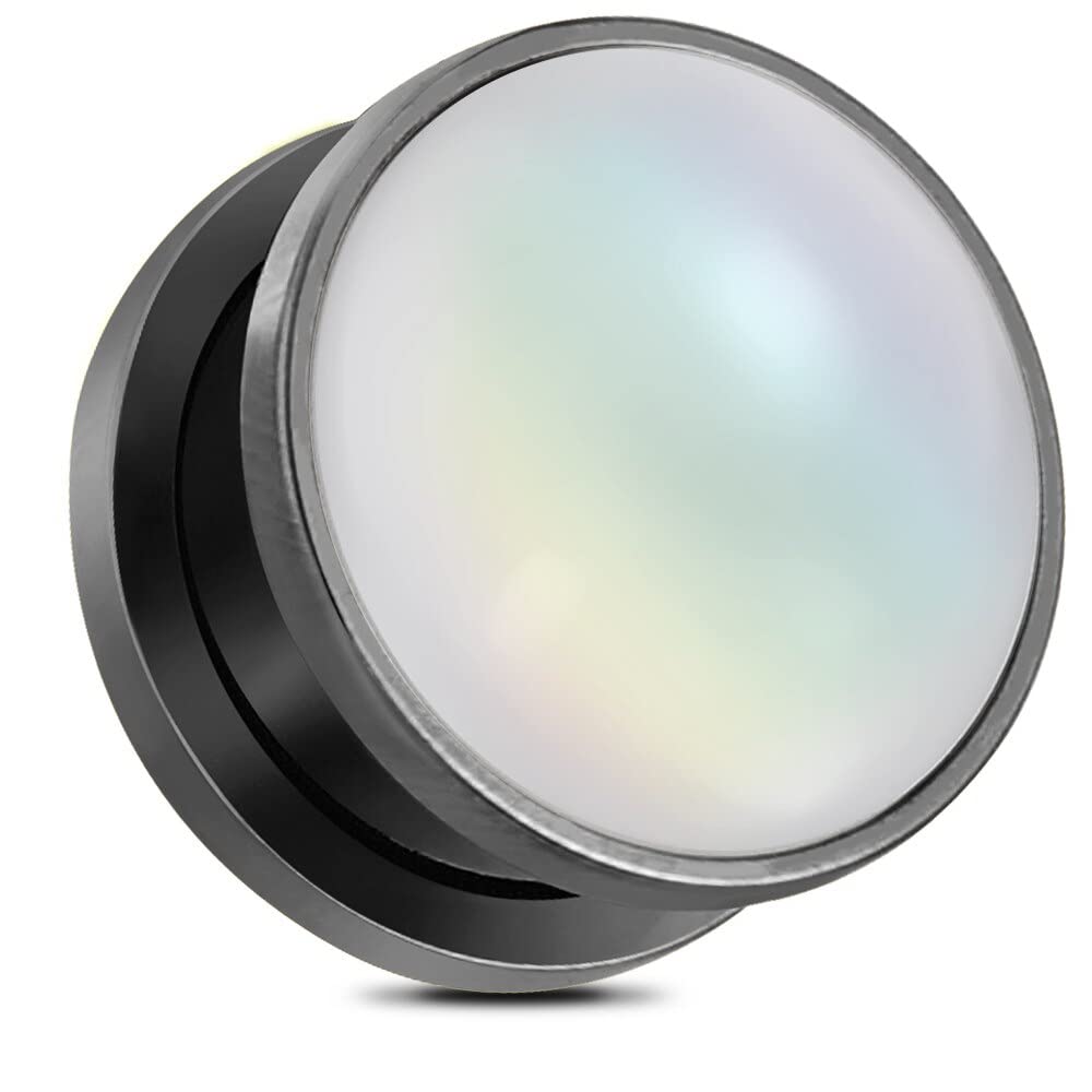 LADEMAYH 2 PCS Classy Cat Eye Design Ear Plugs Tunnels Gauges for Women - Stainless Steel 316L Body Piercing Basic Earrings for Stretched Earlobe