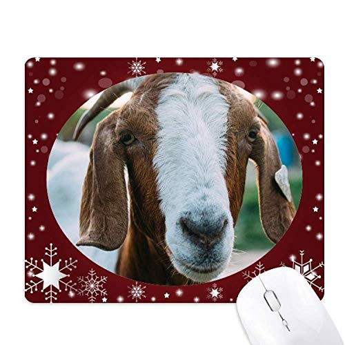 ̗r̓̎ʐ^ ItBXpS}EXpbh