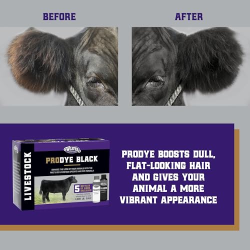 Image of Weaver Livestock Black Hair Dye & Activator Kit for Cattle & Sheep