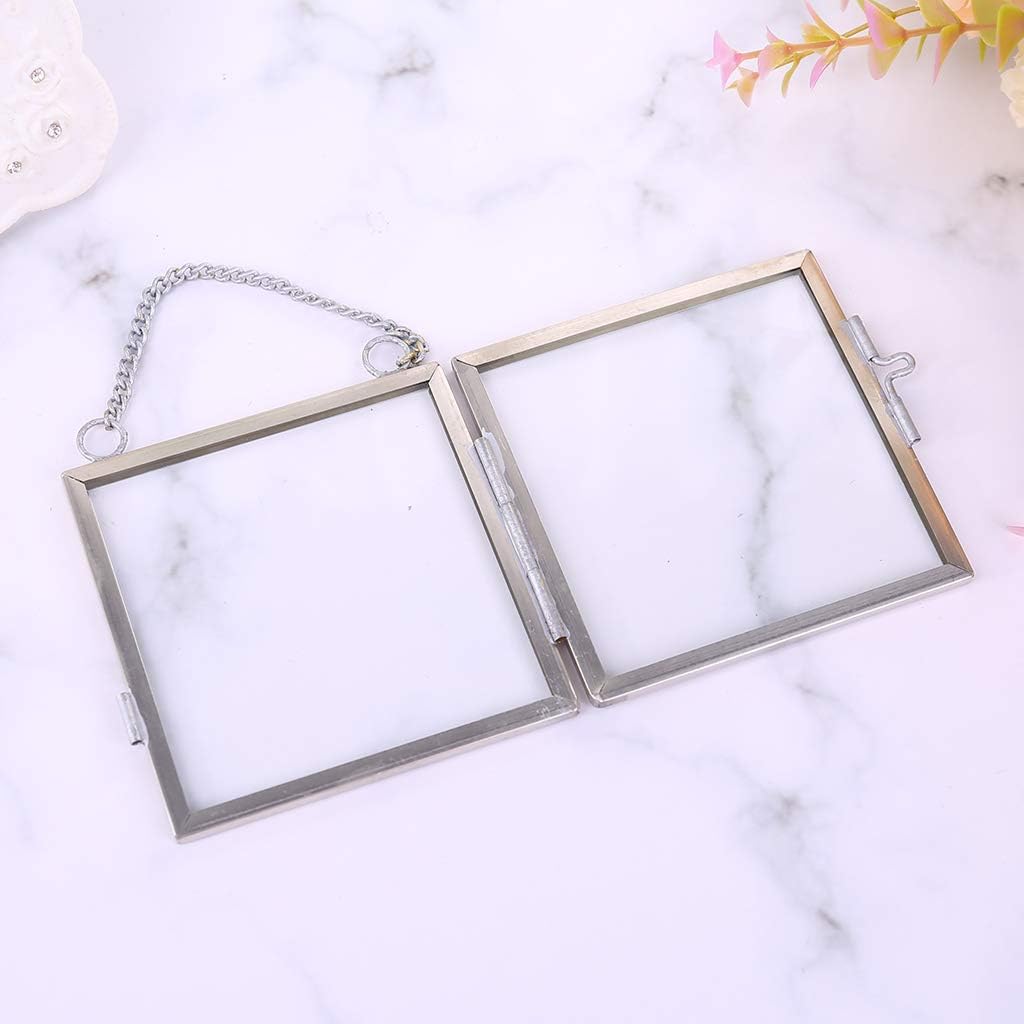DIY Hanging Glass Metal Photo Picture Frame Flower Plant Specimen Display Decor