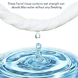 BH | 500 Pulls of 3 Ply Facial Tissues | Ultra Soft and Silky for Everyday Use, Strong | Multipack Box, 100 Pulls, Pack of 5 (500 Sheets) - by Best House - Image 4