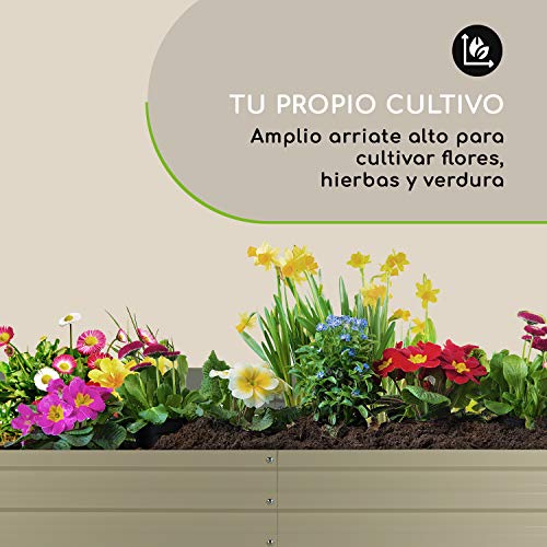 Blumfeldt High Grow Straight bancal - Macetero, Flores, Hierbas y ...