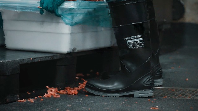 Amazon.com | Dunlop Goliath Steel Toe - Waterproof Work Boots for