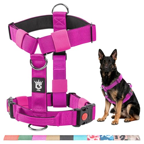 TSPRO Pettorina Cane Taglia Media-Grande, No Pull, Imbracatura per Cani Resistente con Fibbie a Sganci Rapidi e Maniglia, Regolabile e Comoda per Passeggiate (Viola, L)
