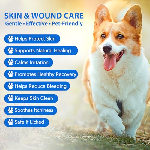 CiAIplw Haustier Wundspray, Wundpflege für Hunde & Katzen, Regeneration der Haut bei Wunden, Entzündungen und Irritationen, Narben- und Wundspray gegen Juckreiz & Kratzen, 120ML
