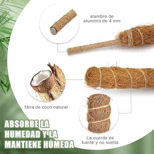 Varillas con cuerda 6 Imagen adicional