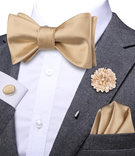 Image of Dubulle Self Tie Bow Ties and Lapel Pin for Men Paisley Solid Mens Bowtie and Handkerchief Cufflinks Set Wedding