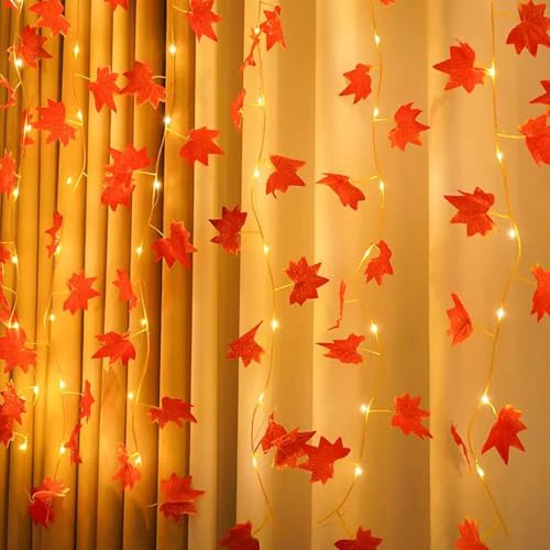 Lumières d'automne 8 modes avec télécommande et minuteur
