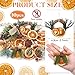 Amyhill 10 Pcs Christmas Dried Orange Slice Ornaments Handmade Rustic Christmas Tree Decorations Natural Beaded Pine Cones Cinnamon Scented Sticks Vintage Velvet Ribbon for Farmhouse Crafts