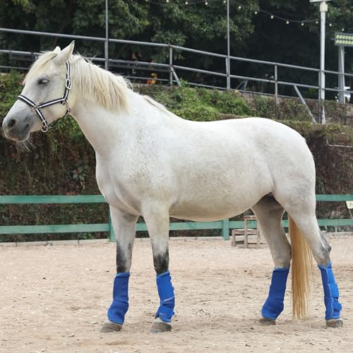 Image of LEAFOREST Horse Fly Boots Set of 4 - Non Slip Leg Protection for Donkey Mini Pony Draft, Breathable Mesh Fly Boots for Pasture & Barn Use Deep Blue Full