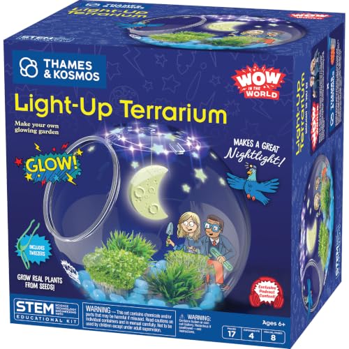 Wow in the World: Light-Up Terrarium | Biology Set