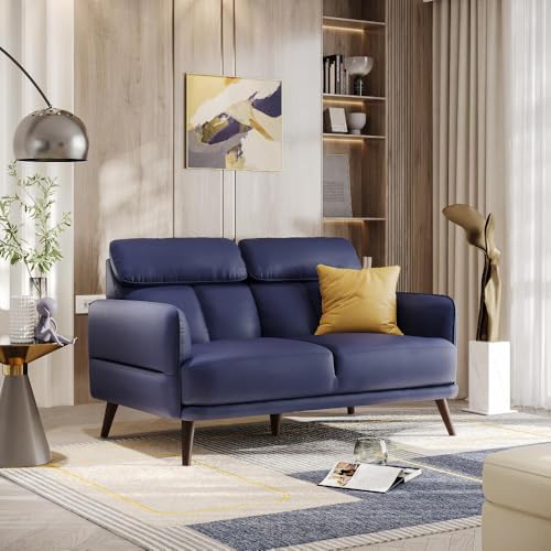 Image of Wakefit Sofa Set | 5 Year Warranty | Sofa 2 Seater, 2 Seater Sofa for Living Room, Wooden Sofa Set, Couch Sofa for Living Room - Azores(Robin : Blue)