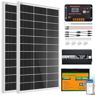 ECO-WORTHY 200 Watt 12V Complete Solar Panel Starter Kit for RV Off Grid with Battery and Inverter: 2pcs 100W Solar Panel + 30A Charge Controller + 100Ah Lithium Battery + Premium Solar Inverter