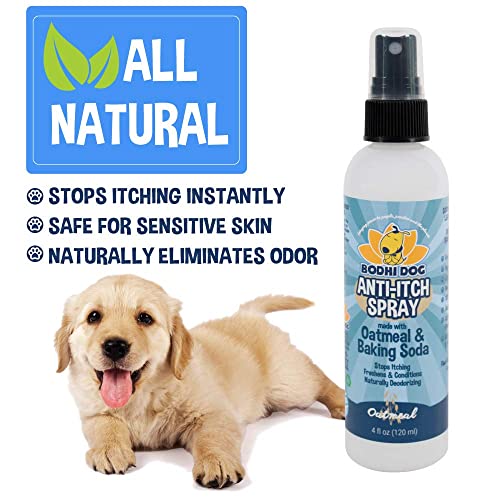 Image of Bodhi Dog Itch Relief Spray - Natural Relief for Dry, Itchy, Allergic, or Bug-Bitten Skin - Safe for Dogs & Cats - Soothing Oatmeal Formula - Made in USA (Oatmeal, 4 Fl Oz)