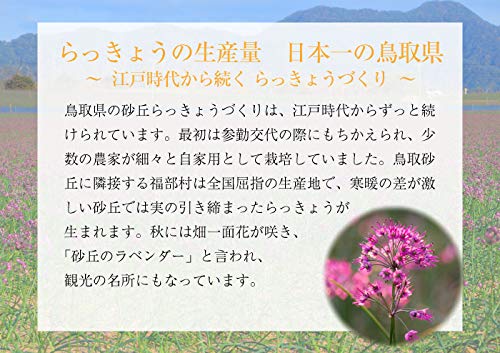 砂丘らっきょう10キロ Amazon | 根付き 砂丘らっきょう 秀品 L～Sサイズ 10kg 鳥取県産 JA