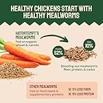 Dried Mealworms 5 lbs - Organic Non GMO Chicken Feed - High Protein Poultry Feed - Mealworms for Chickens, Wild Birds & Laying Hens - Image 2