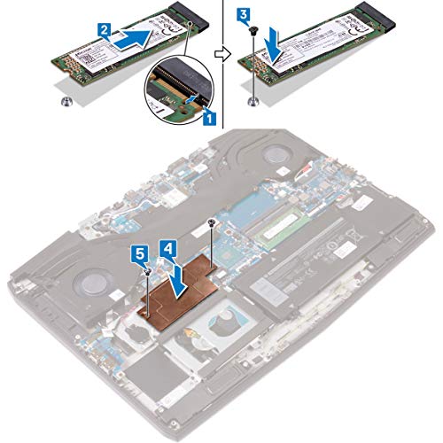 Fixation SSD M.2 NVMe 2280 Alienware M15 M17 pour second disque - 2