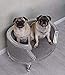 Hundebett Barock Silber Grau Hundesofa Small Katzenbett cat700e19 Palazzo Exclusiv
