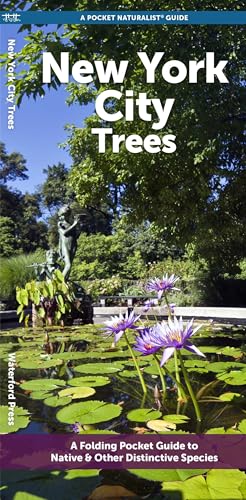 New York City Trees: A Folding Pocket Guide to Native & Other Distinctive Species (Urban Trees)