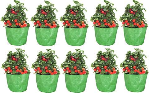 See full amazon price history chart for Jain Kitchen Garden 9" X 9" - 6 Nos. Round Plant Grow Bag in Heavy HDPE 250 GSM 100% UV Stabilized, Pack of 6 Jain Kitchen Garden 9" X 9" - 6 Nos. Round Plant Grow Bag in Heavy HDPE 250 GSM 100% UV Stabilized, Pack of 6 (B07VDKYXQC) Amazon Price History, Amazon Price Tracker