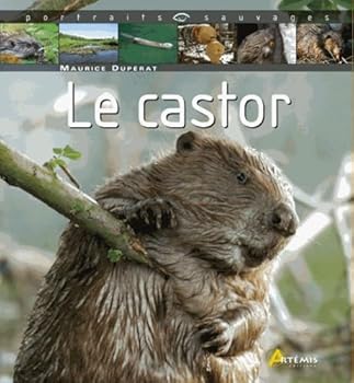 le castor