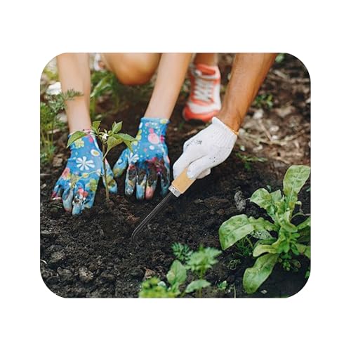 Herramienta de jardinería horquilla de raíz de acero miniatura 5