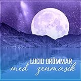 zenmuse x4s  Lucid drömmar med zenmusik