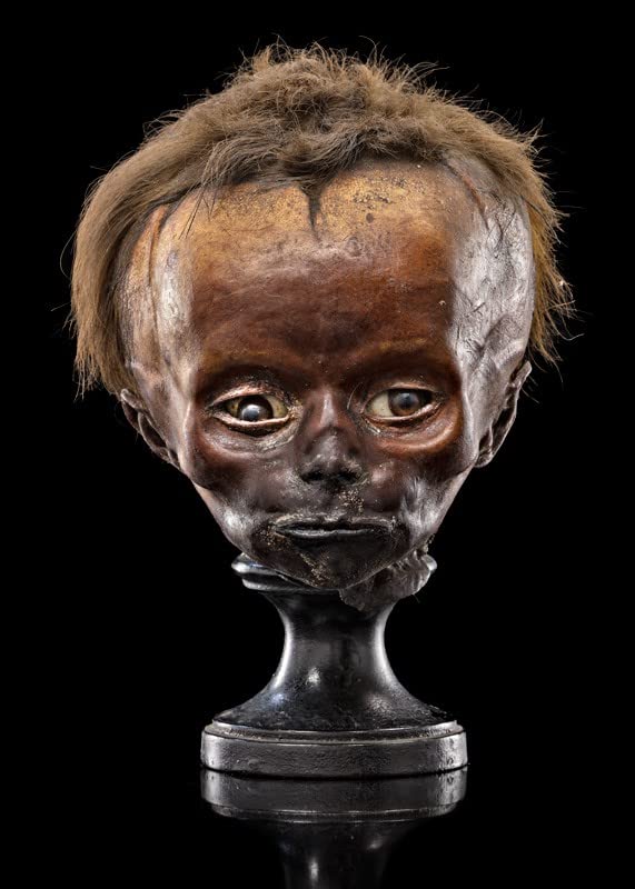 Il pietrificatore. La collezione anatomica «Paolo Gorini». Ediz. italiana e inglese