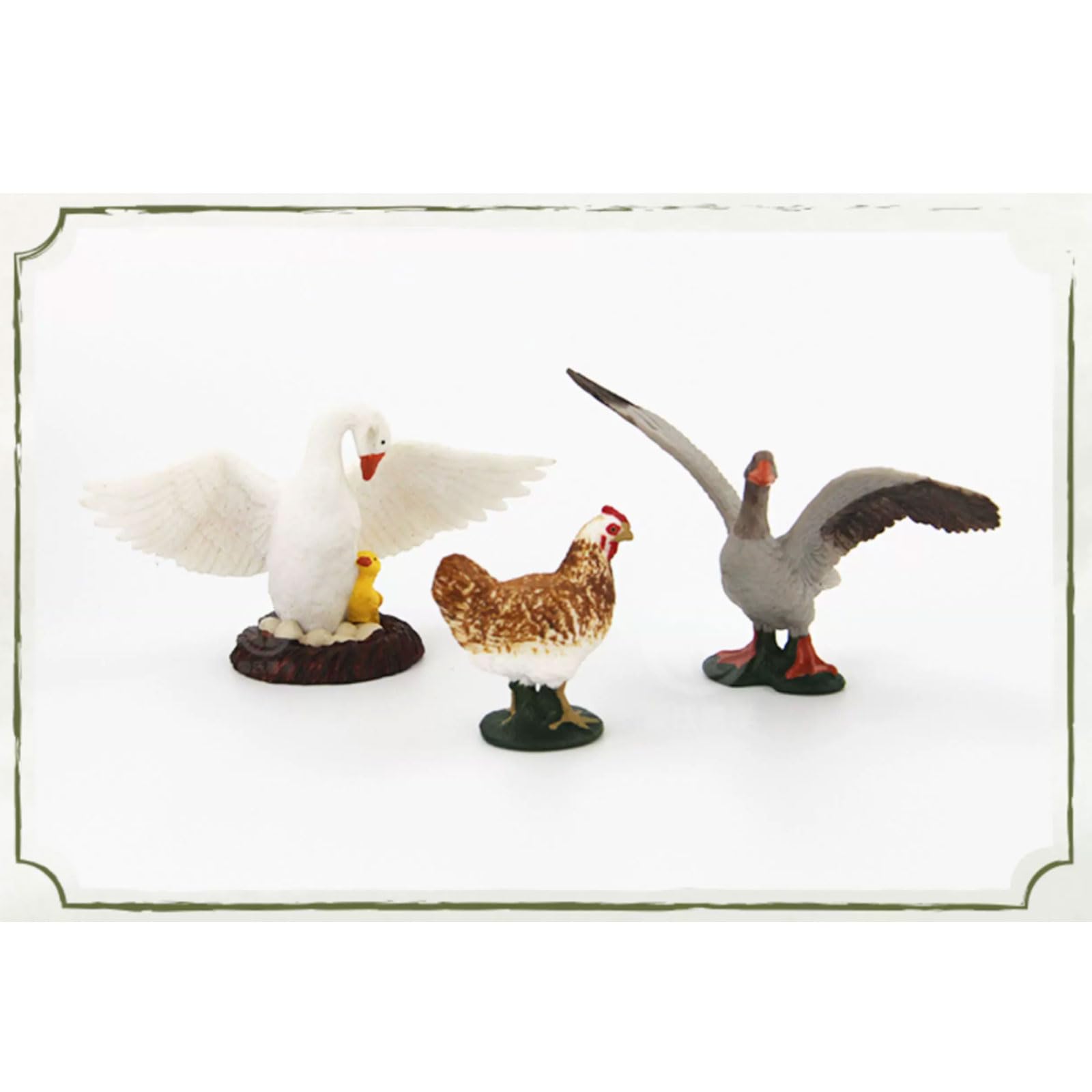 Kit Figure Uccelli Selvatici Montessori, Modelli Animali Avicoli Realistici | Riconoscimento degli Uccelli e Gioco Sensoriale Mini Modelli di Uccelli Selvatici e Domestici per Bambini Piccoli