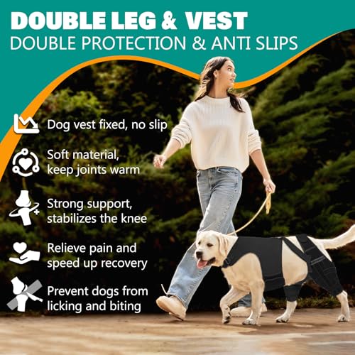 Image of Dog Knee Braces for Torn ACL Hind Leg, Adjustable Joint Brace Non-Slip