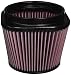Banks 42148 Air Filter
