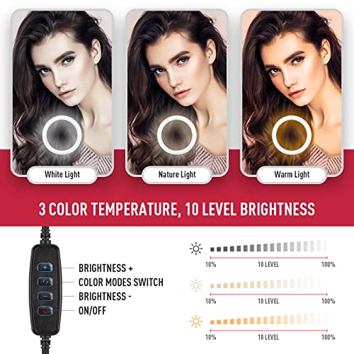 Paulida 10 Zoll LED Ringlicht mit Stativ Handy, Ringleuchte mit 3 Handyhalter & Fernbedienung, 3 Farbe und 10… – Bild 4