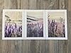 Eviepops Prints French Lavender Hills Wall Art Set of 3 Unframed Poster Prints, Digitally Printed Quilted Tapestry Style, Living Room Bedroom Bathroom Poster Home Decor, Purple Shades and Green (A4) #3