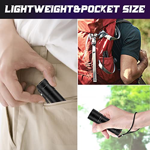 UV Taschenlampe 2 Stück Mini UV Schwarzlicht Taschenlampe mit 12 LEDs, Ultraviolettes Licht mit 395nm für Geocaching, Heimtierurindetektoren, Haustiere Urin-Detektor usw. Inklusive 6 AAA Batterie