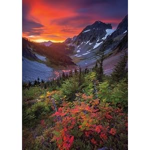 Buffalo Games – Gold – North Cascades – 500 Piece Jigsaw Puzzle for Adults Challenging Puzzle Perfect for Game Nights – 500 Piece Finished Size is 21.25 x 15.00