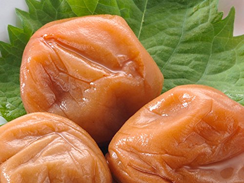 和歌山産自然栽培「南高」梅5Kg 農薬不使用・無肥料 食品