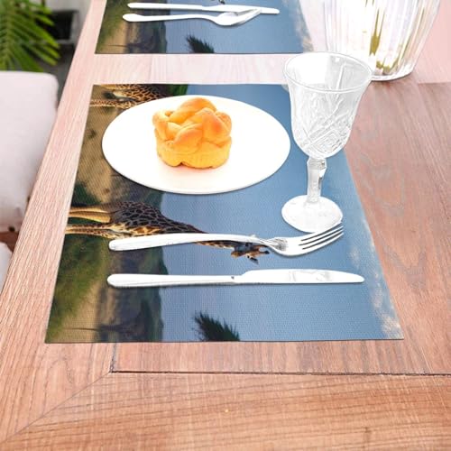 Set de table en PVC motif girafe lavable 30x45 cm résistant