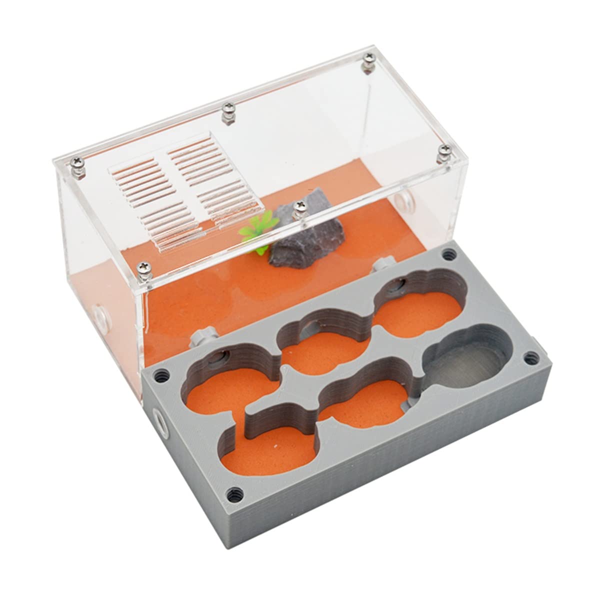 本体・ガラスセット　★送料無料★スーパービッグ　アリの巣　蟻の巣　石膏 送料無料 スーパービッグ アリの巣 蟻の巣 石膏 付属品多数